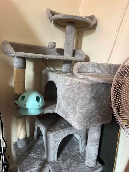 Photo of free Cat Tower + Automatic Wand Toy (Flatbush) #1