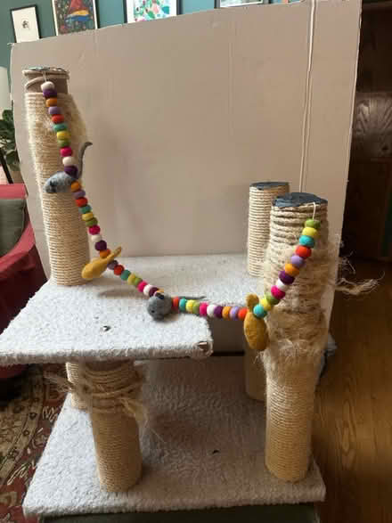 Photo of free Cat scratching platform (NE Seattle) #1