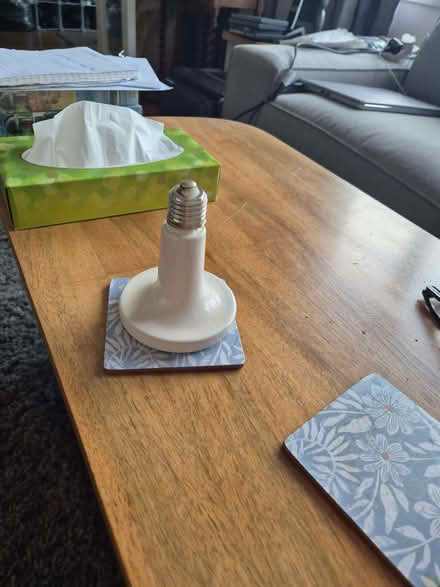 Photo of free Infrared Heat Lamp For puppies, Chicks etc. (Bengeo SG14) #3