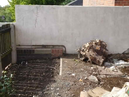 Photo of free Tree stumps (Firth Park S5) #2