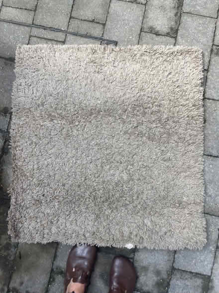 Photo of free Square beige rug (Sherwood NG5) #1