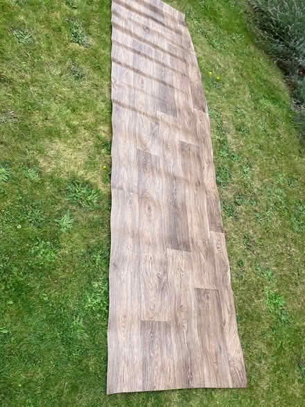 Photo of free Wood effect lino (Firswood M16) #1