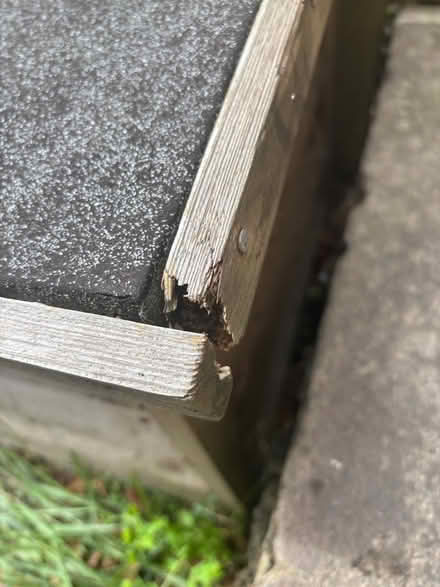 Photo of free 6ft garden storage box / bench (Keyford area, Frome) #4