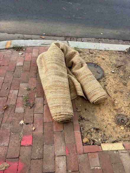 Photo of free 8’10’ ish seagrass rug (629 constitution ave ne) #1
