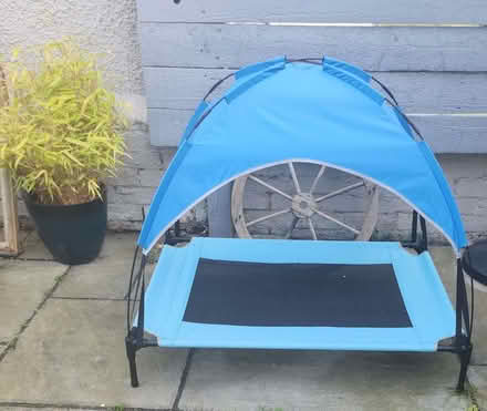 Photo of free Pet shady raised platform (Drylaw EH4) #1