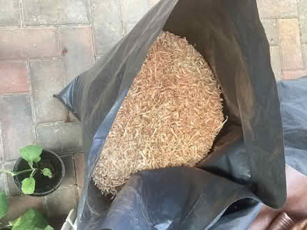 Photo of free Sawdust /wood wool (Kempsey WR5) #1