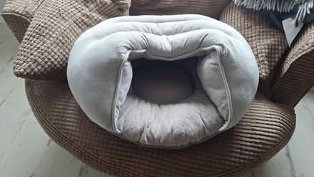 Photo of free Dog bed for small dog (Broomridge FK7) #1