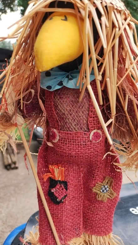 Photo of free Crow scarecrow (Allen) #1