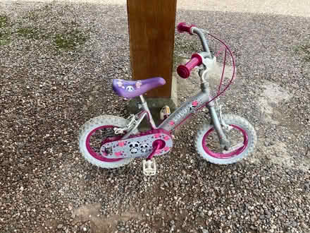 Photo of free Girls bicycle (Porthill SY3) #1