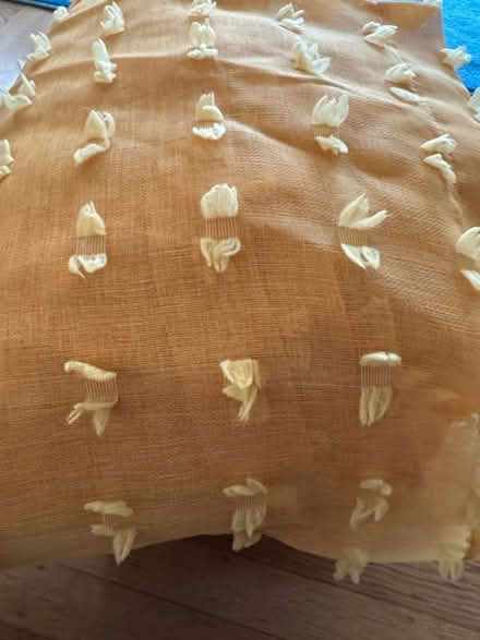Photo of free Yellow sheer curtains (Alameda) #1
