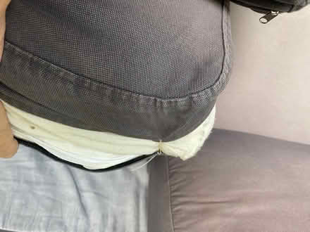 Photo of free Sofa (South Salem) #3