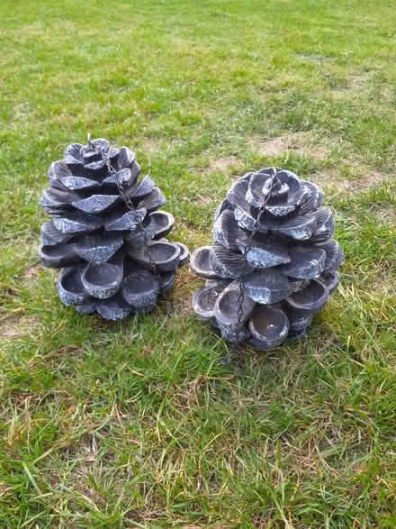 Photo of free Bird feeders (Chineham RG24) #1