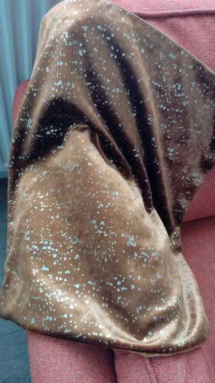 Photo of free Cushion Cover (Moreton CH46) #1