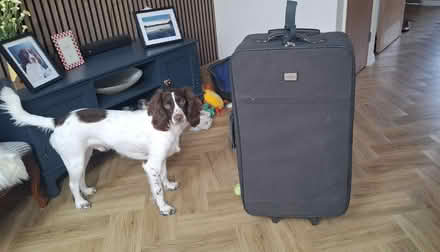 Photo of free Large suitcase (Boughton Monchelsea ME17) #1