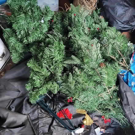 Photo of free Christmas tree(s) (Warlingham CR6) #1