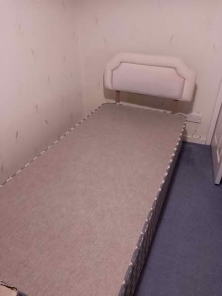 Photo of free Single bed divan base (Babbacombe TQ1) #1