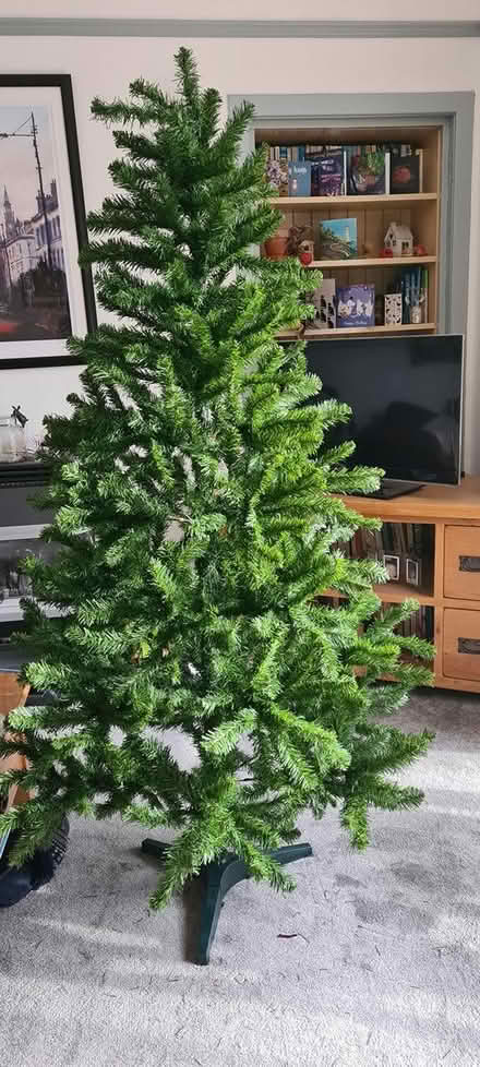 Photo of free Christmas tree (Colinton EH13) #1