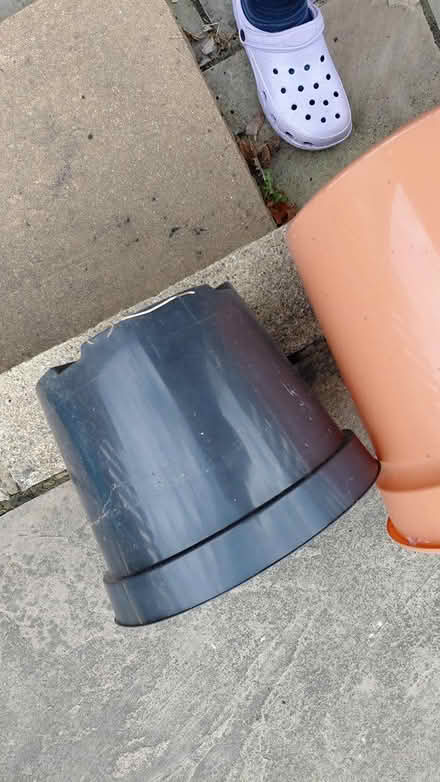 Photo of free Bucket planters large (Sheffield 12 S12) #3