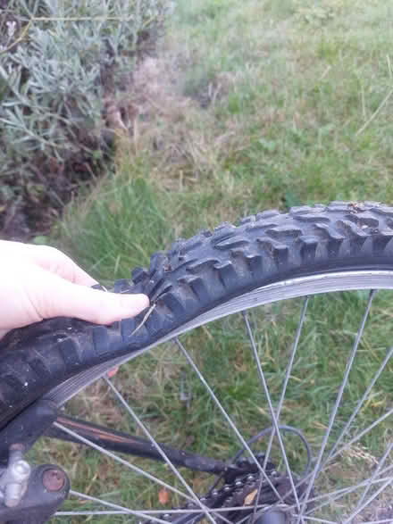 Photo of free Adult Man's Bike, Needs New Tyres (CT2) #2