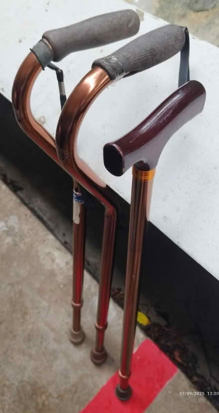 Photo of free Walking stick (Tpy) #1