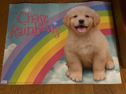 Photo of free Doggie Poster (Erin Mills and Britannia) #1