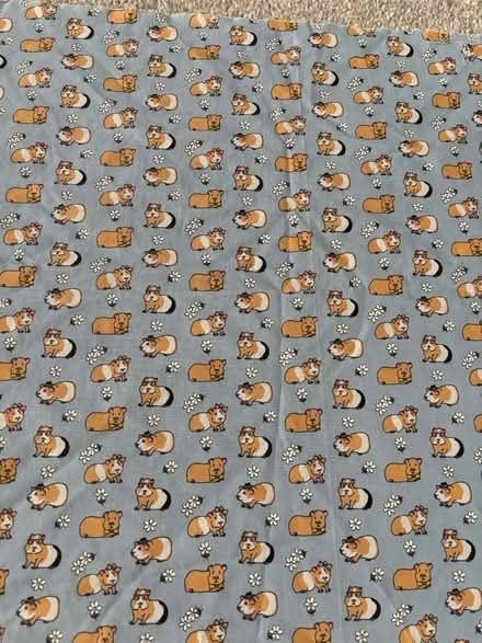 Photo of free Guinea pig fabric approx 140x50cms (Westhouses, Alfreton, DE55) #1