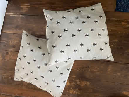 Photo of free 2 x bee cushions (Golden Green TN11) #1
