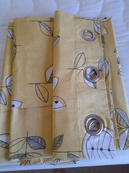 Photo of free Curtains (Sutton Valence ME17) #1