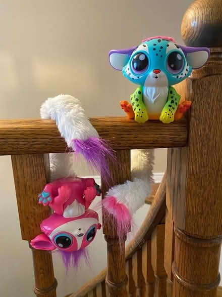 Photo of free #2 - Battery-operated cute animals (Erin Mills and Britannia) #1
