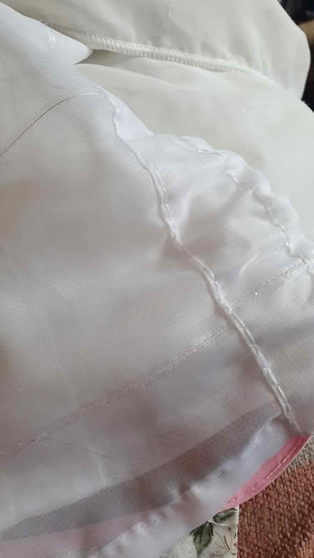 Photo of free Window netting (Chichester Lavant PO18) #3