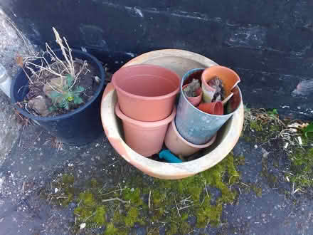 Photo of free plant pots (Scotstoun, Glasgow) #1
