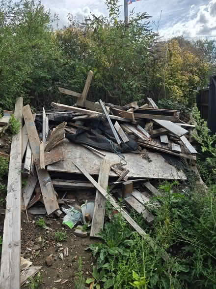 Photo of free Bonfire timber (Aveley RM15) #1