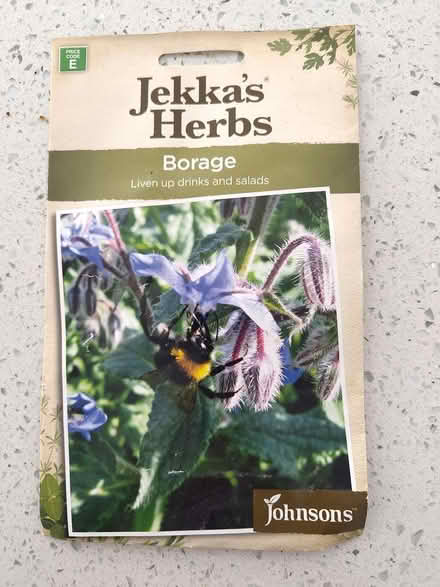 Photo of free Borage seeds (South Hitchin, SG4 9) #1