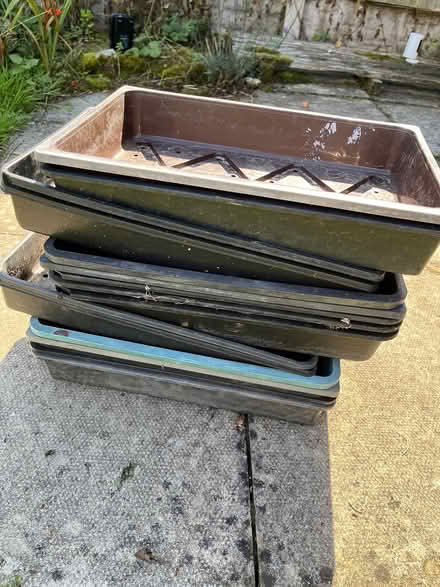 Photo of free Seed trays (Letchworth) #1