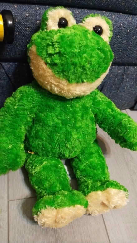 Photo of free Stuffed frog (Allen) #1