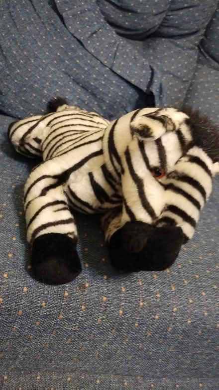 Photo of free Stuffed zebra (Allen) #1