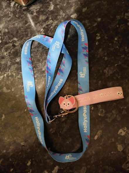 Photo of free Keychain lanyard (SW15) #1