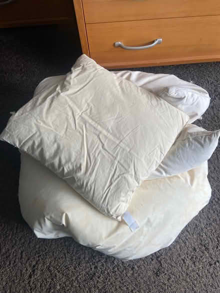 Photo of free 4 pets 3 feather pillows cushions (London Rd AL1) #1