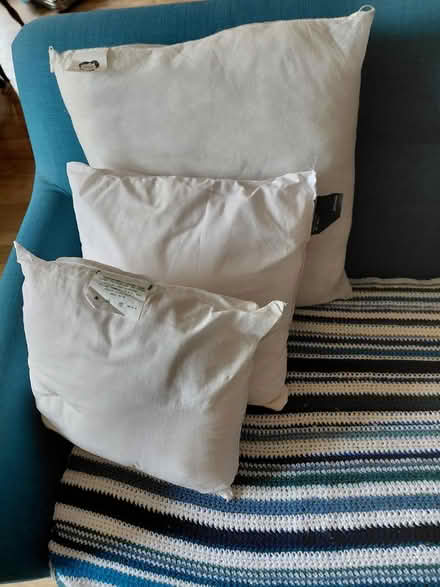 Photo of free 3 x cushion inserts (HX7) #1