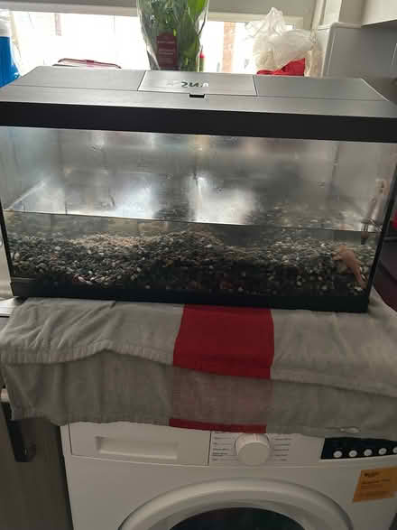 Photo of Large fish tank (Upper Luton ME5) #3
