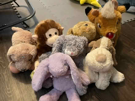 Photo of free Teddy bundle (Thringstone LE67) #1