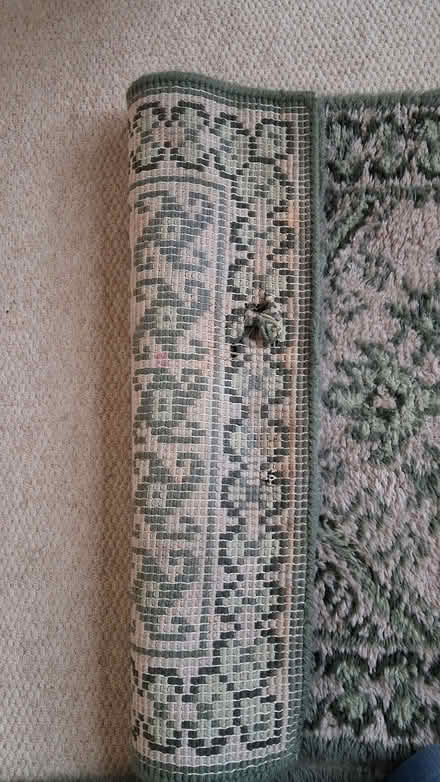 Photo of free Mats (Shap CA10) #2