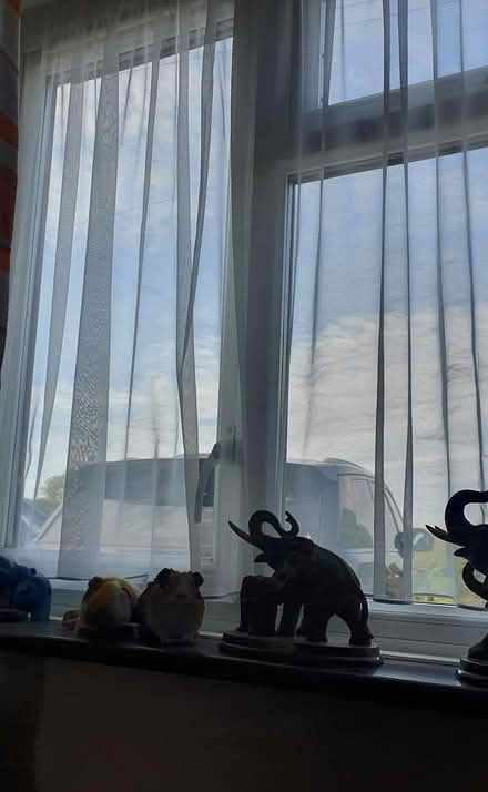 Photo of free Window netting (Chichester Lavant PO18) #2
