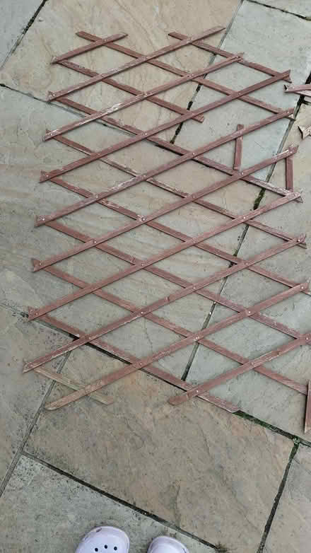 Photo of free Wood Trellis (Sheffield 12 S12) #4