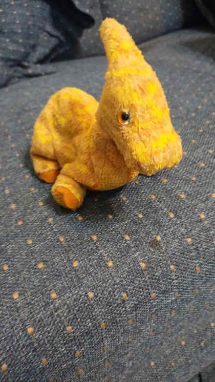 Photo of free sm dino (Allen) #1