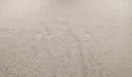 Photo of free Carpet (Bilton HG1) #2