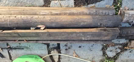 Photo of free 20x pine posts (Abbotsford) #1