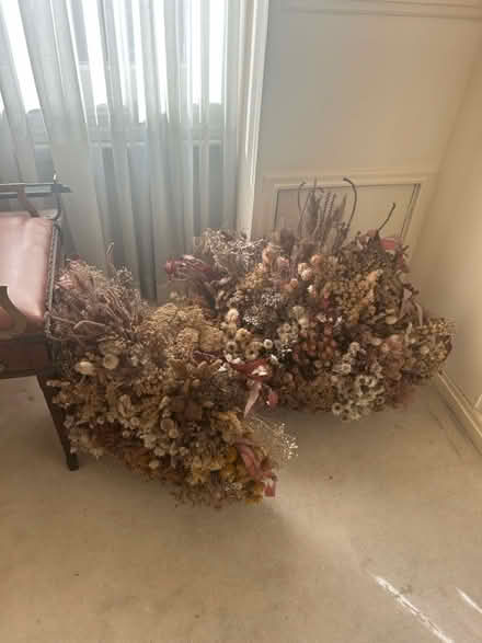 Photo of free Decorative dried flowers (W8 (Kensington)) #1