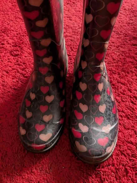 Photo of free Wellies (Bracknell Forest RG12) #1