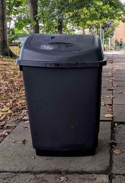 Photo of free Black Kitchen Bin (PL4) #1
